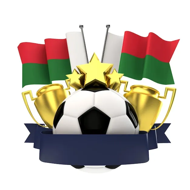 球迷在观看比赛